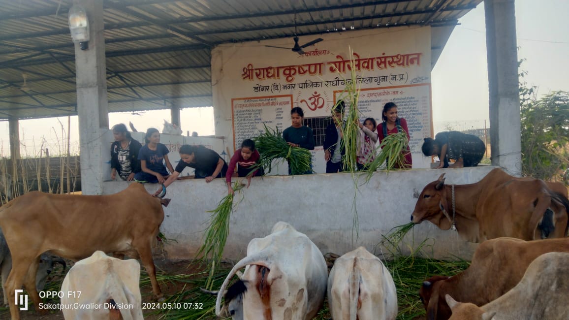 गौशाला 5